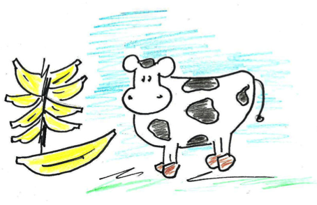 image01fund